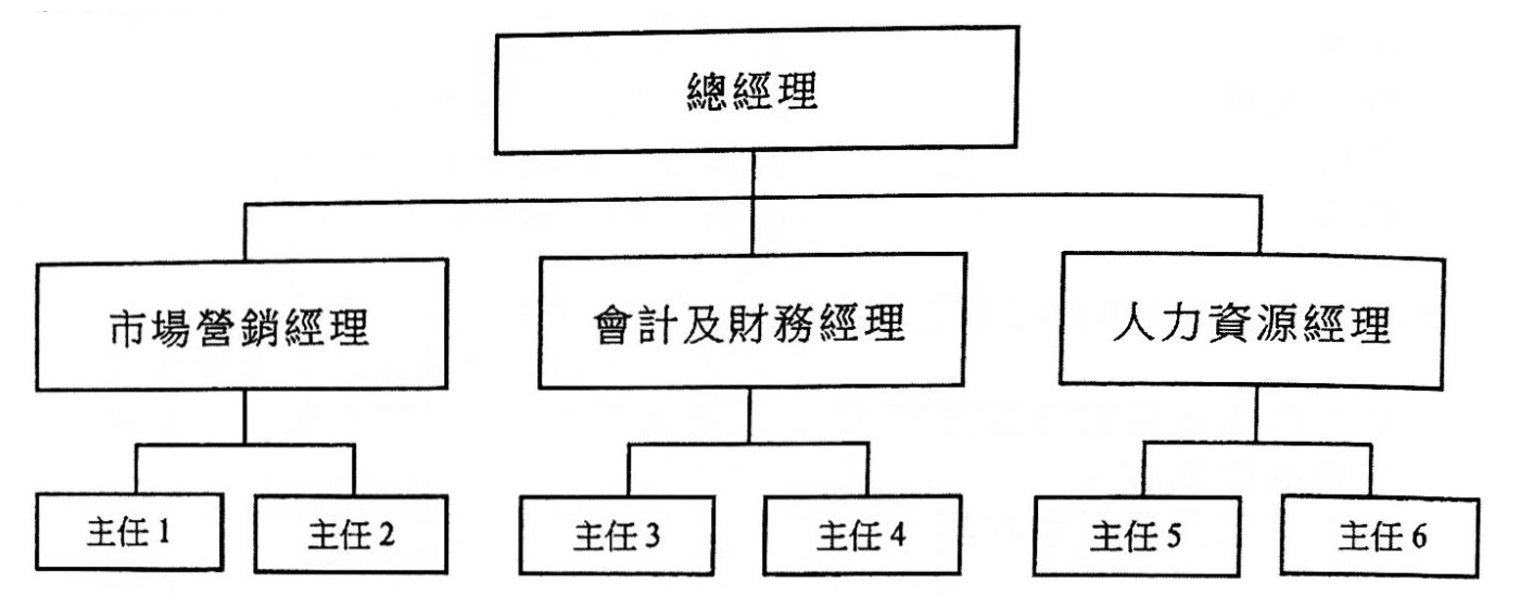 組織圖:總經理下設市場營銷經理(主任1及主任2)、會計及財務經理(主任3及主任4)和人力資源經理(主任5及主任6)