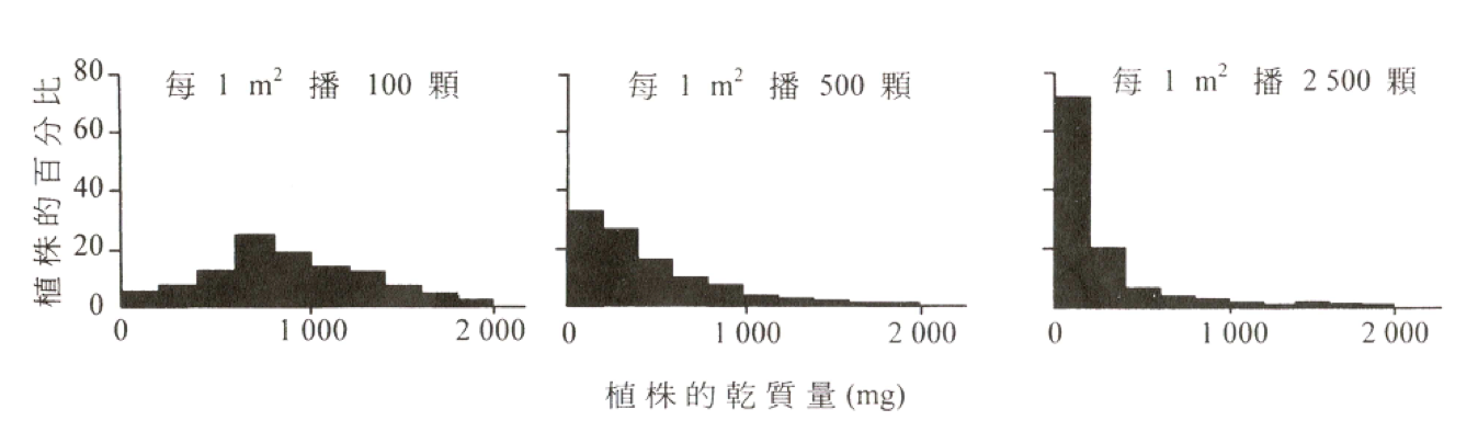 三種播種密度下植株乾質量的分布圖