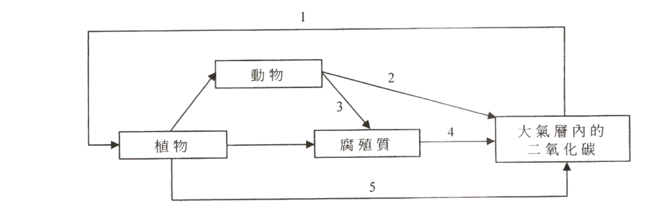 標有過程 1 至 5 的碳循環圖