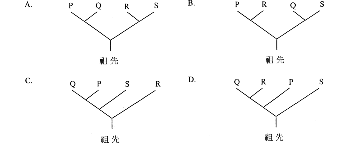 題目圖示