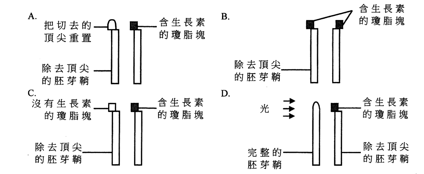 題目圖示
