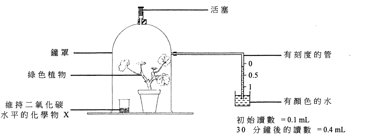 玻璃鐘罩、植物、維持二氧化碳濃度的化學品和刻度管
