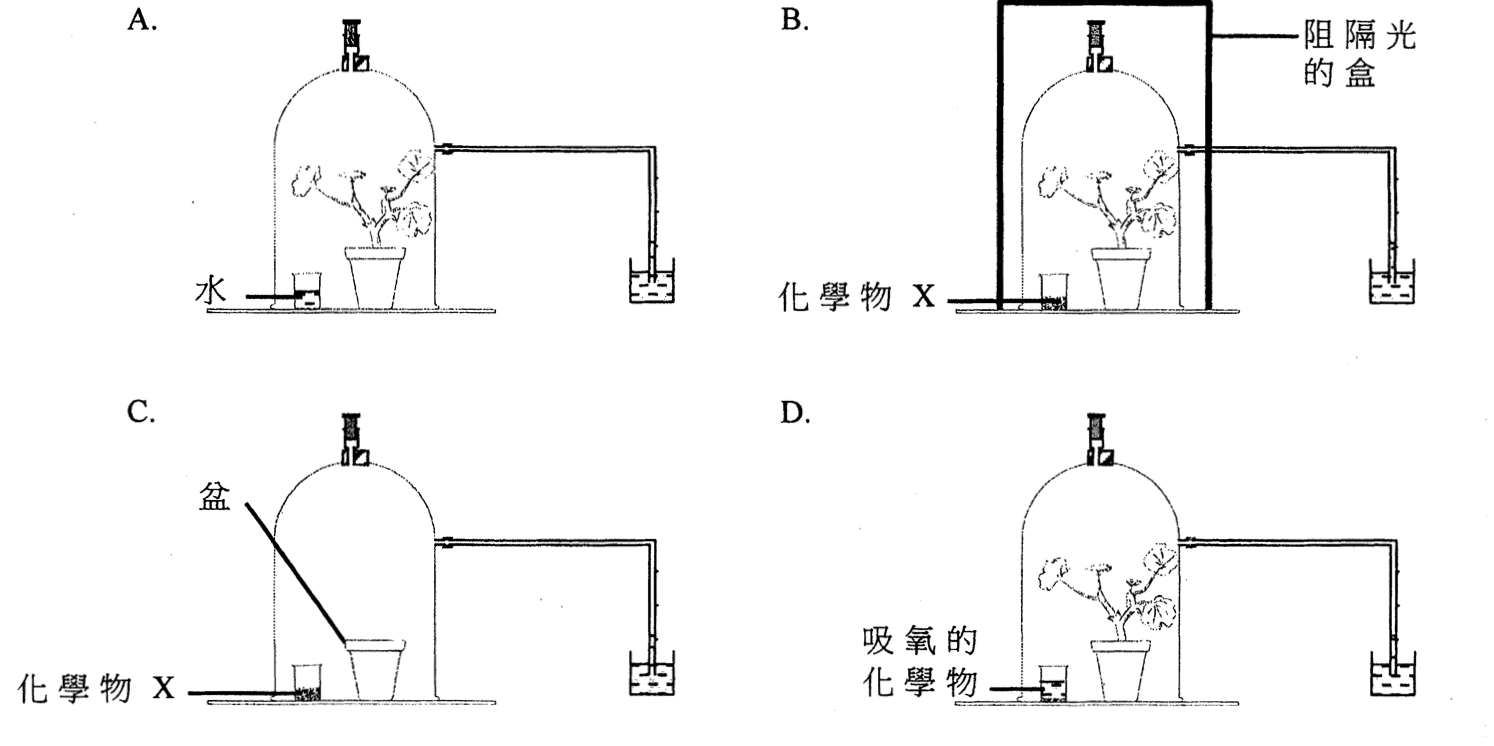題目圖示
