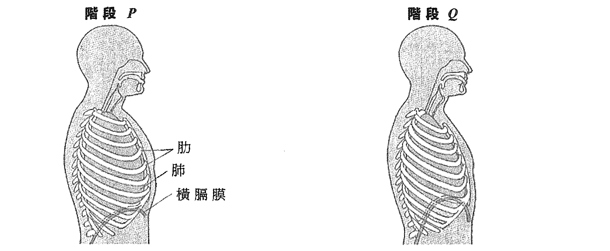 題目圖示