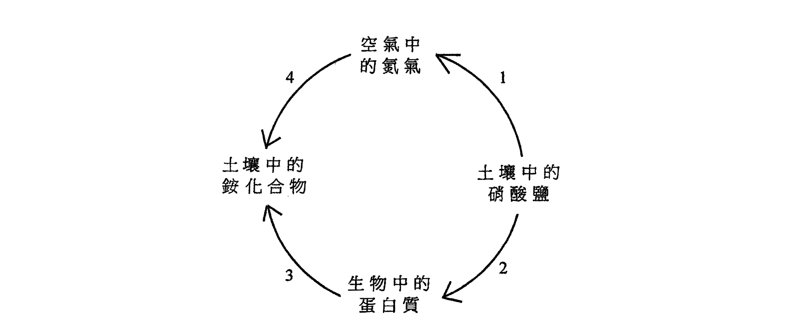 氮循環過程 1 至 4