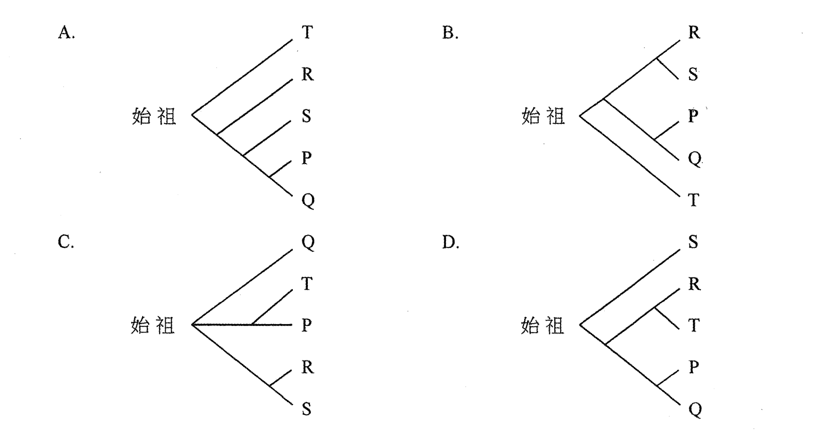題目圖示