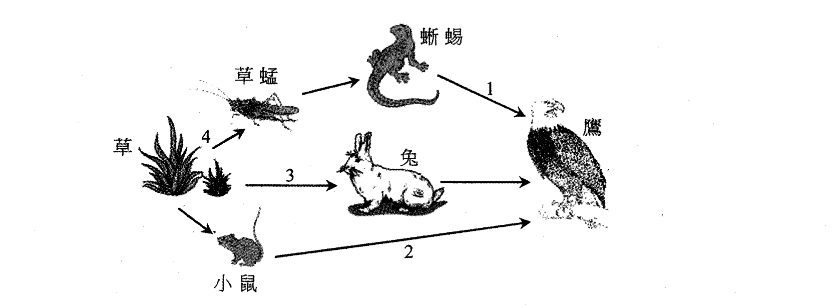 題目圖示