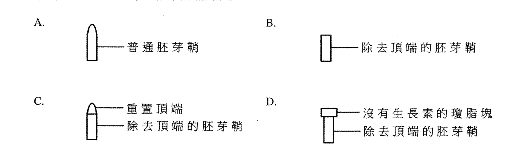 題目圖示