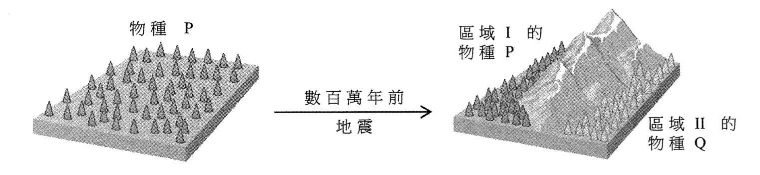 地理隔離前後的樹木種群
