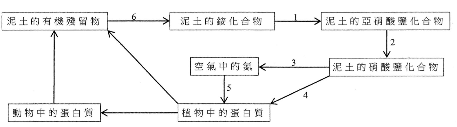 標示過程 1 至 6 的氮循環