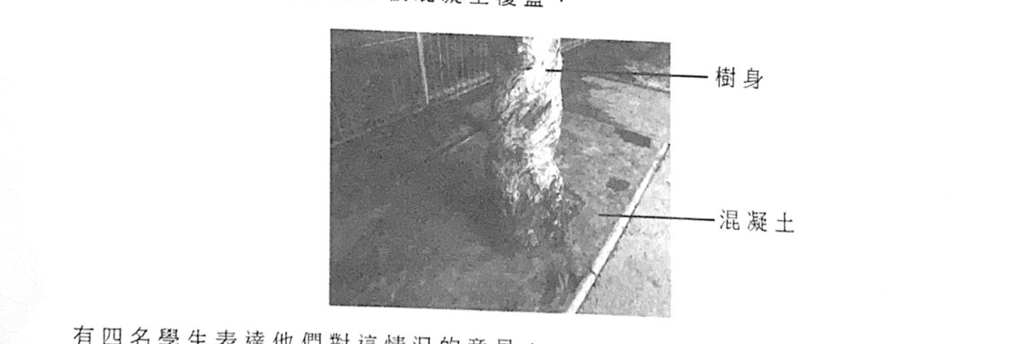 題目圖示