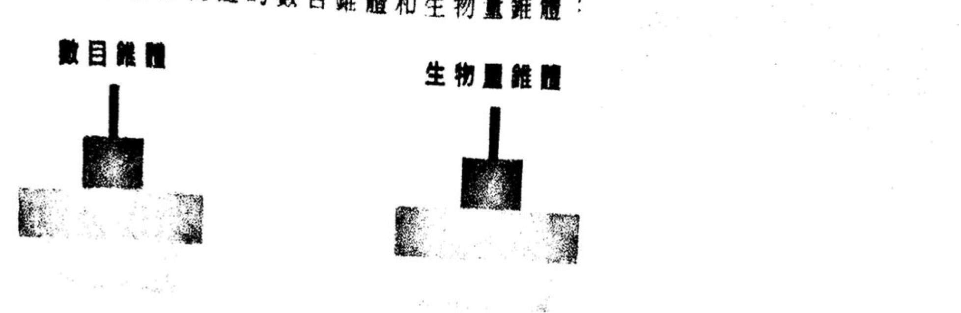 題目圖示