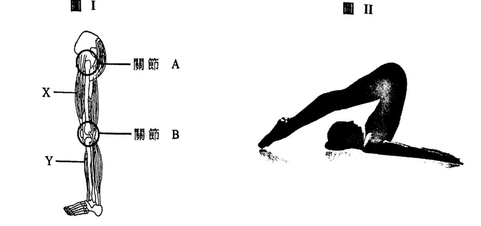 題組圖示