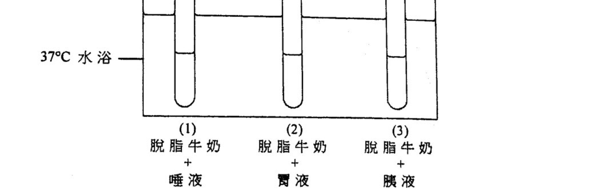 題目圖示