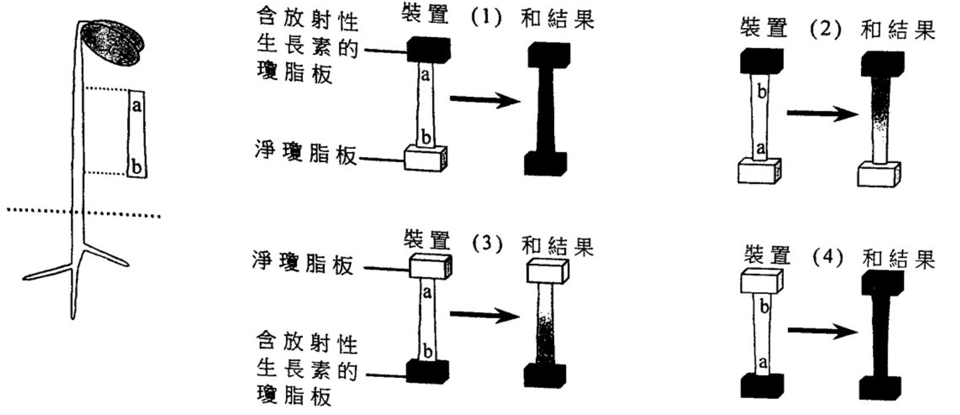 題目圖示