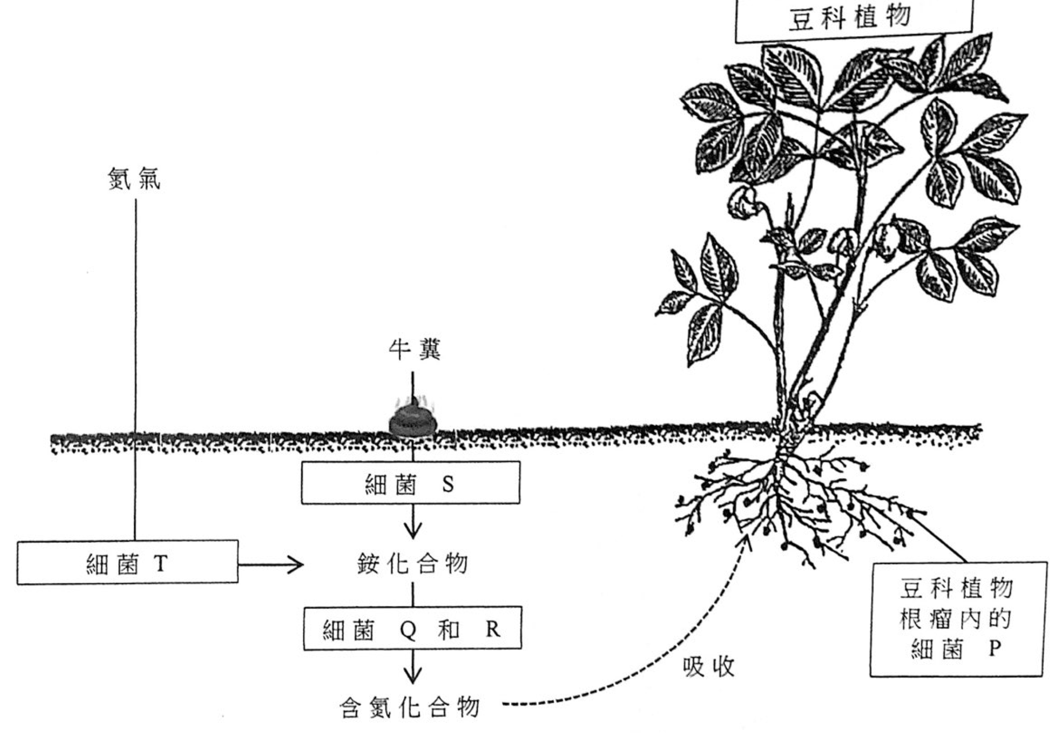 題組圖示