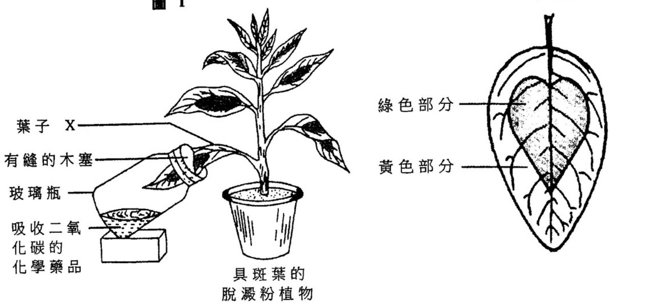 題組圖示