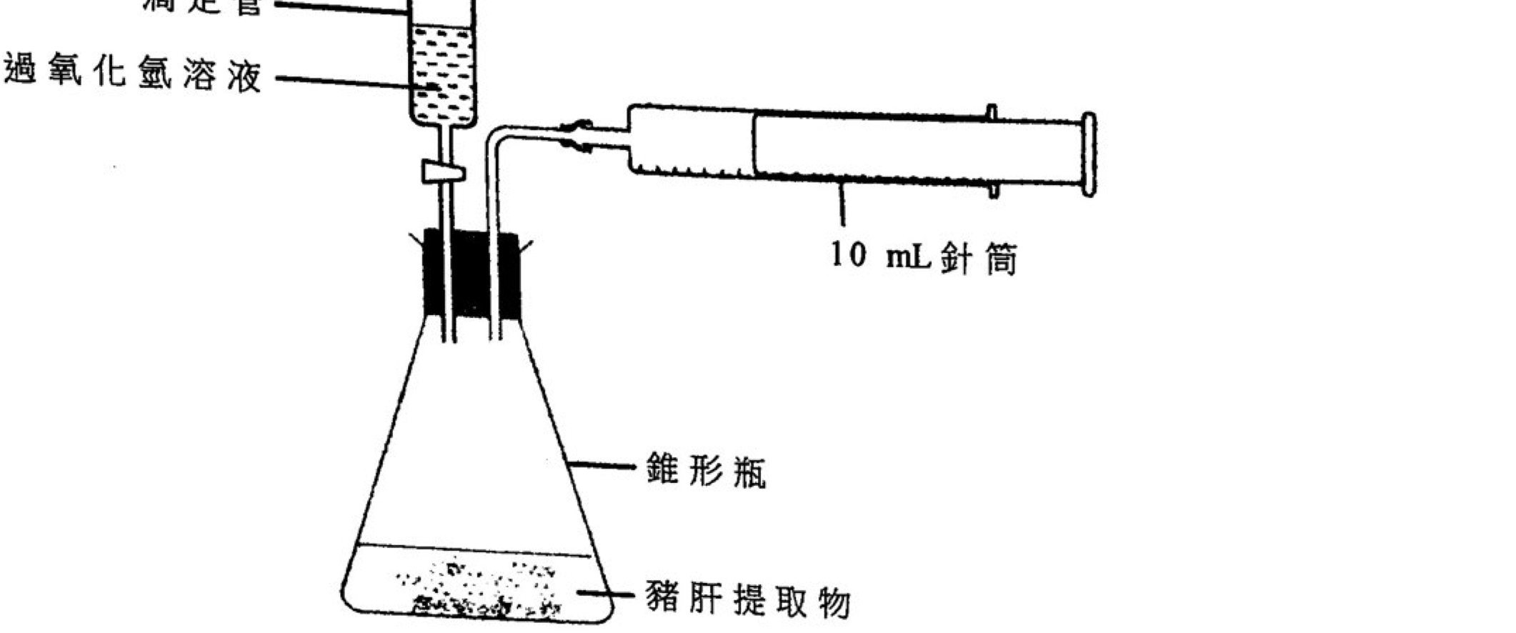 題組圖示