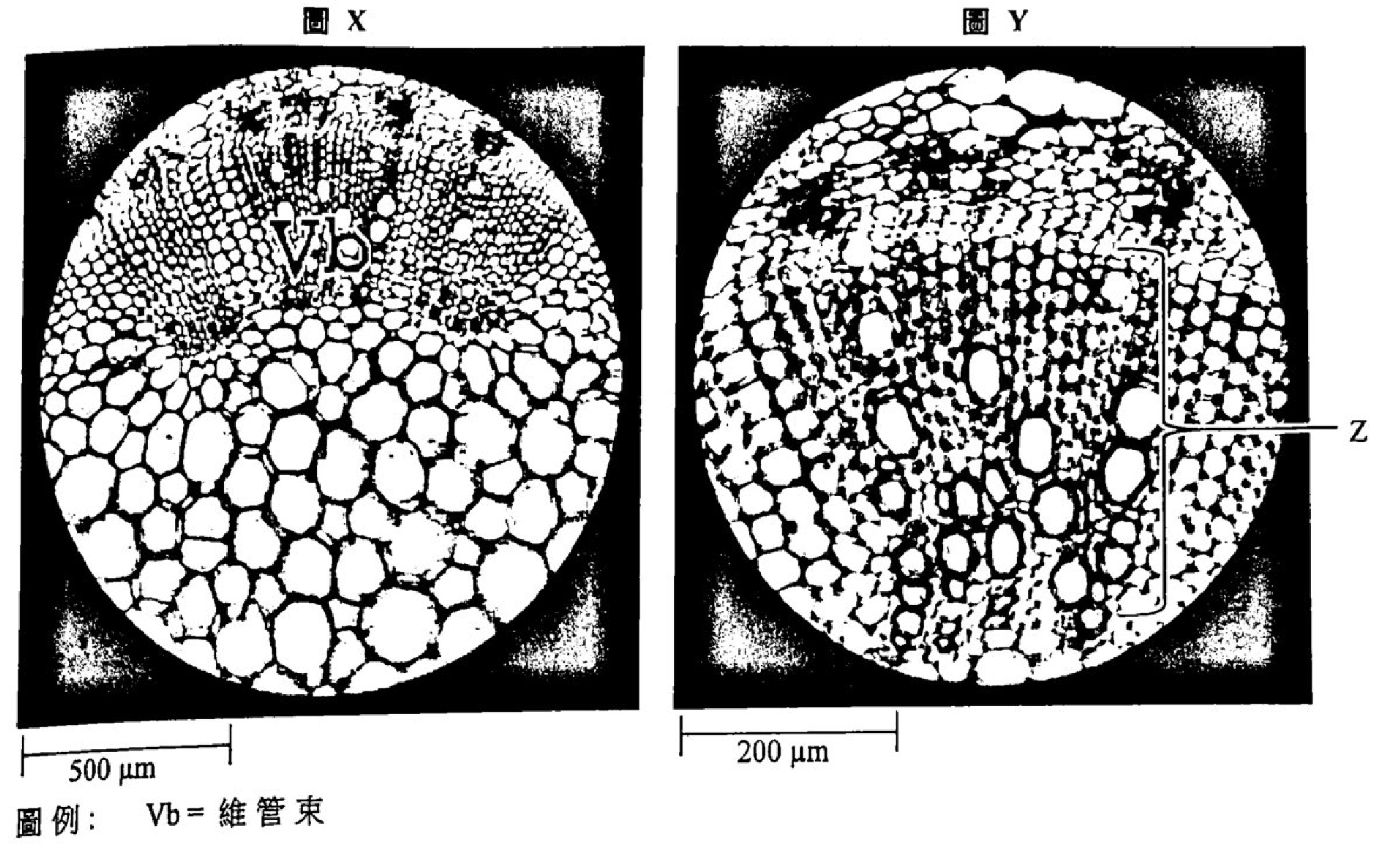 題組圖示