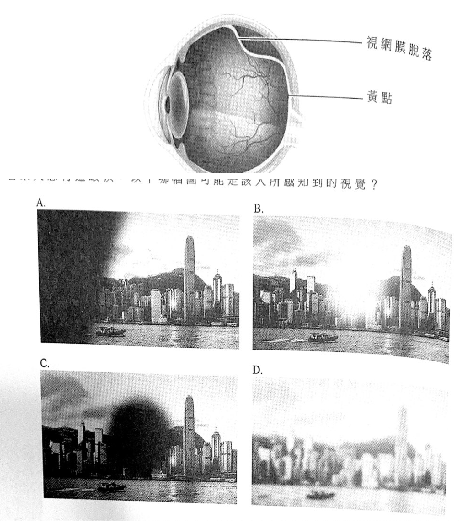 題目圖示
