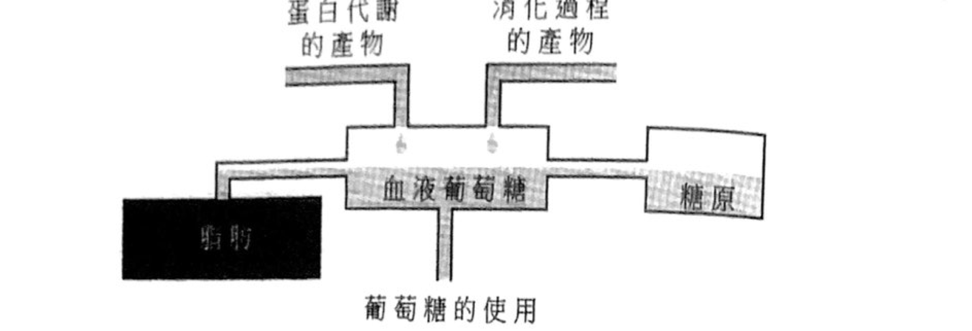 題組圖示