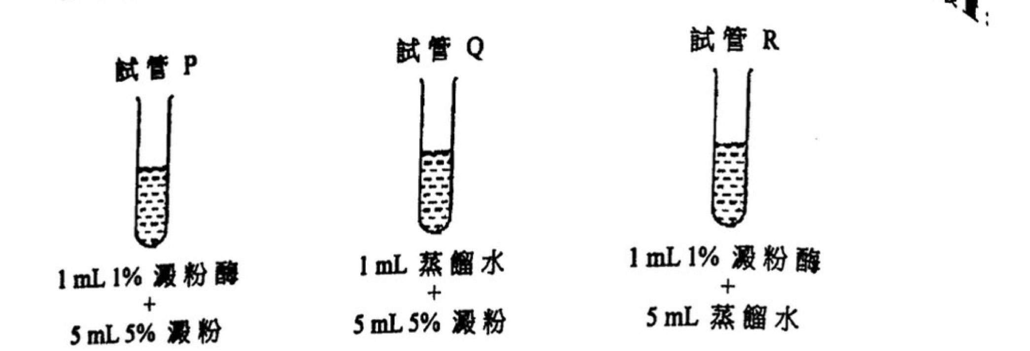 題組圖示