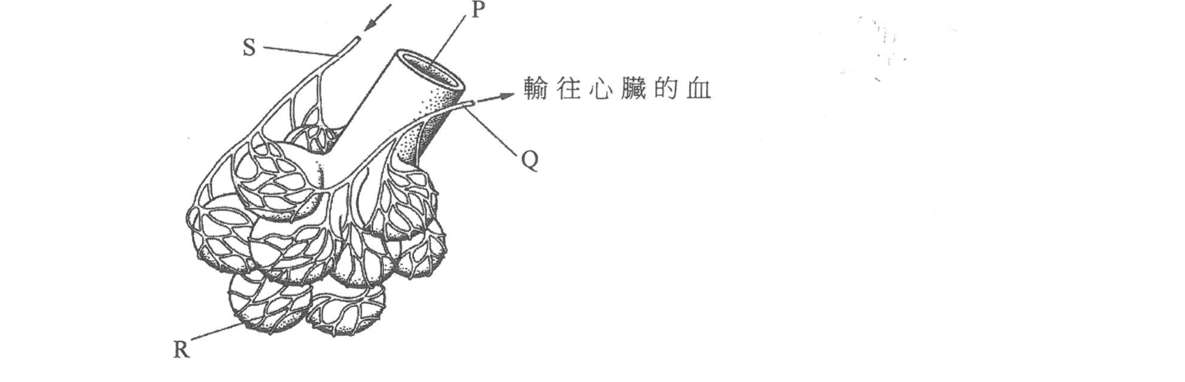 題組圖示