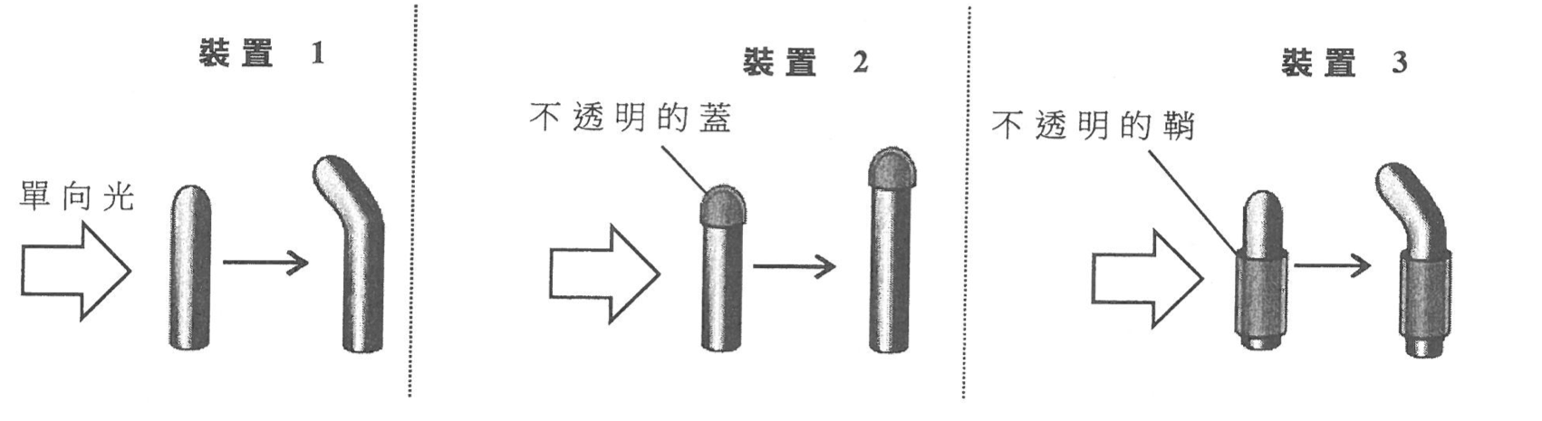 題目圖示