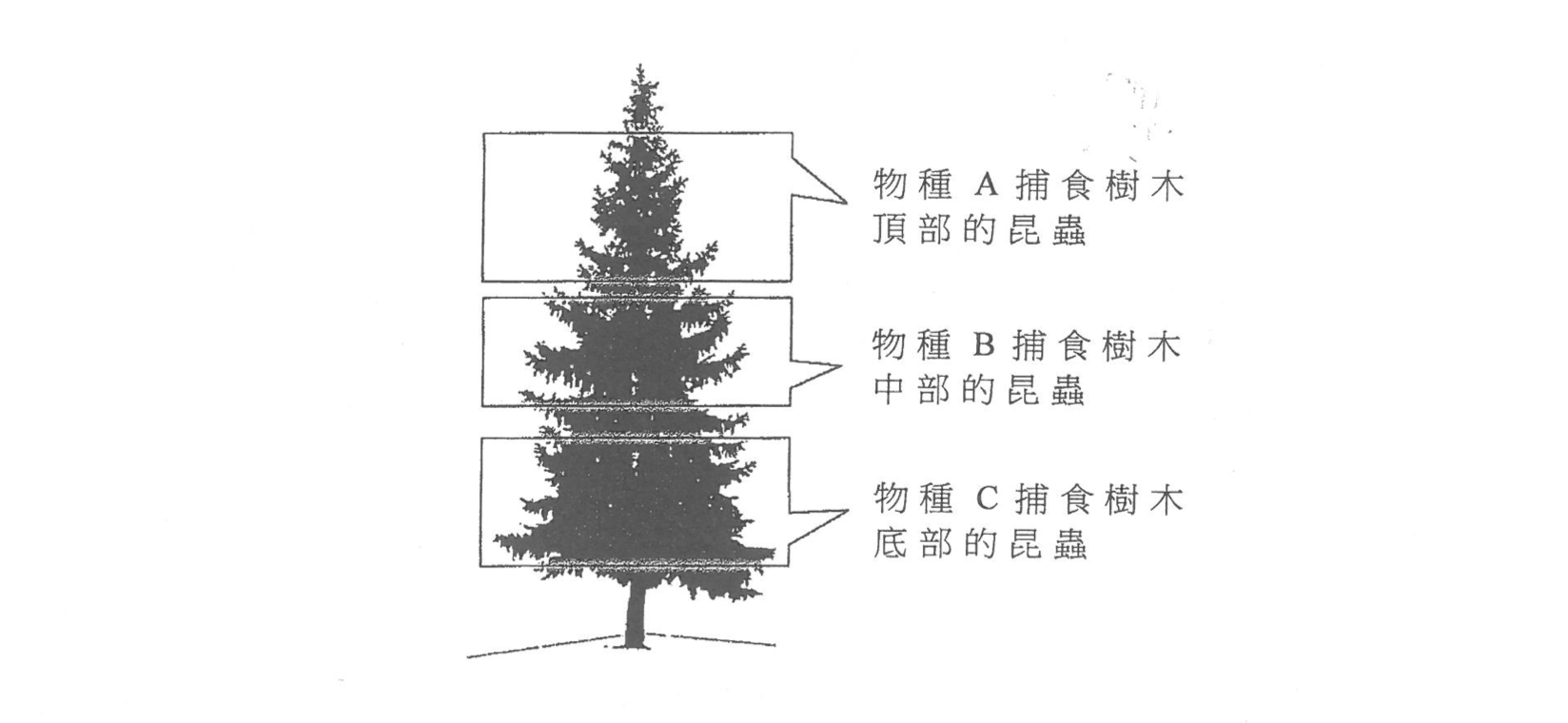題目圖示