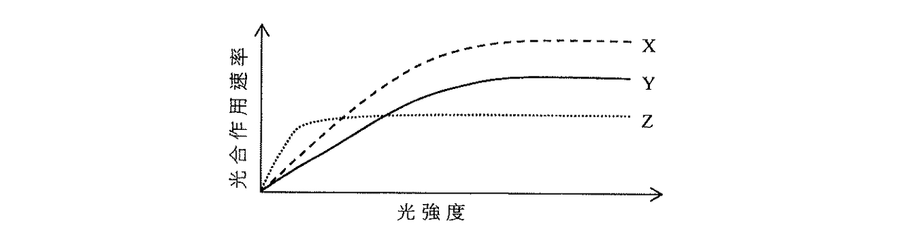 題目圖表