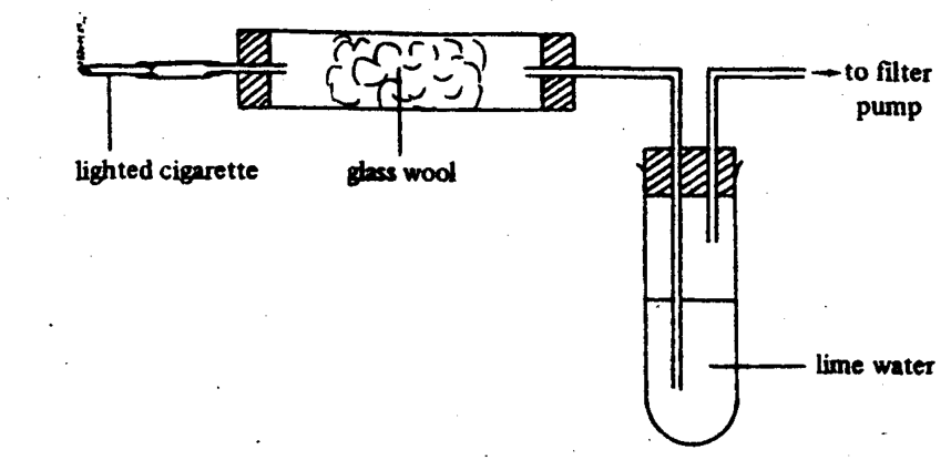 Lighted cigarette connected through glass wool to a tube of lime water and a filter pump