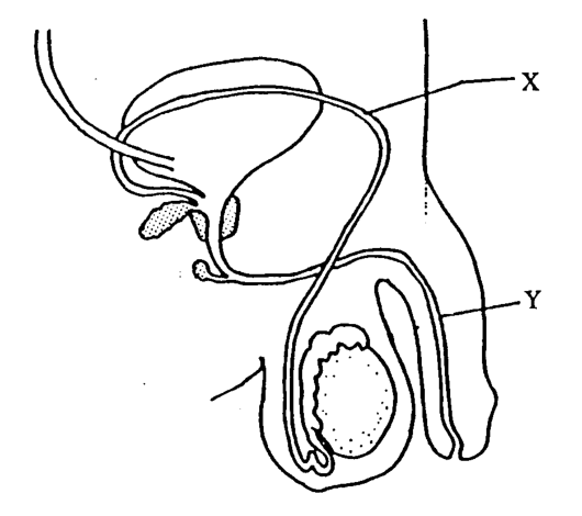 Shared figure