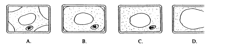 Question figure