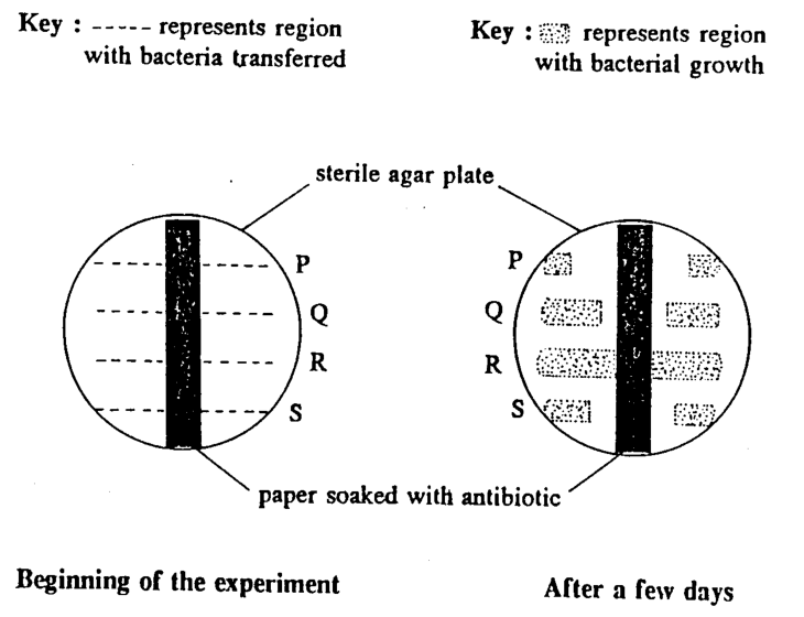 Question figure