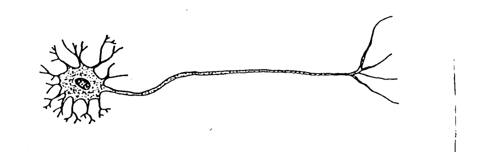 Question figure