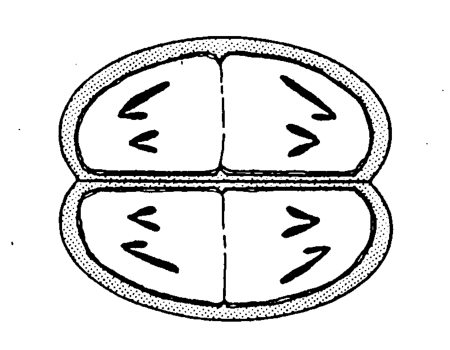 Question figure