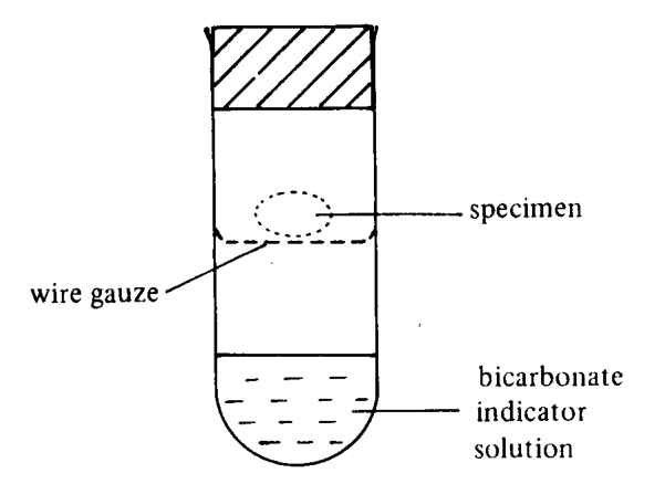 Question figure