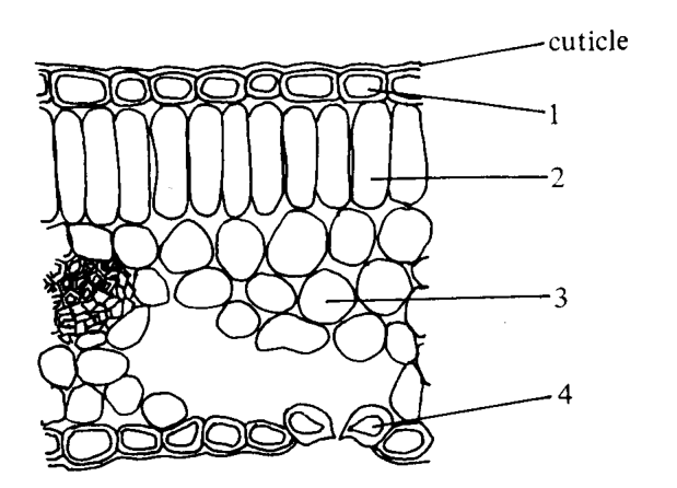 Question figure