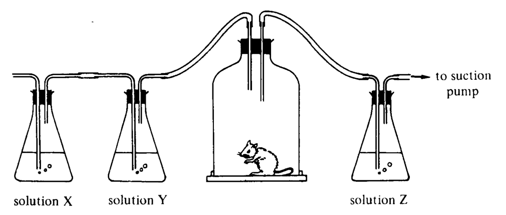 Question figure