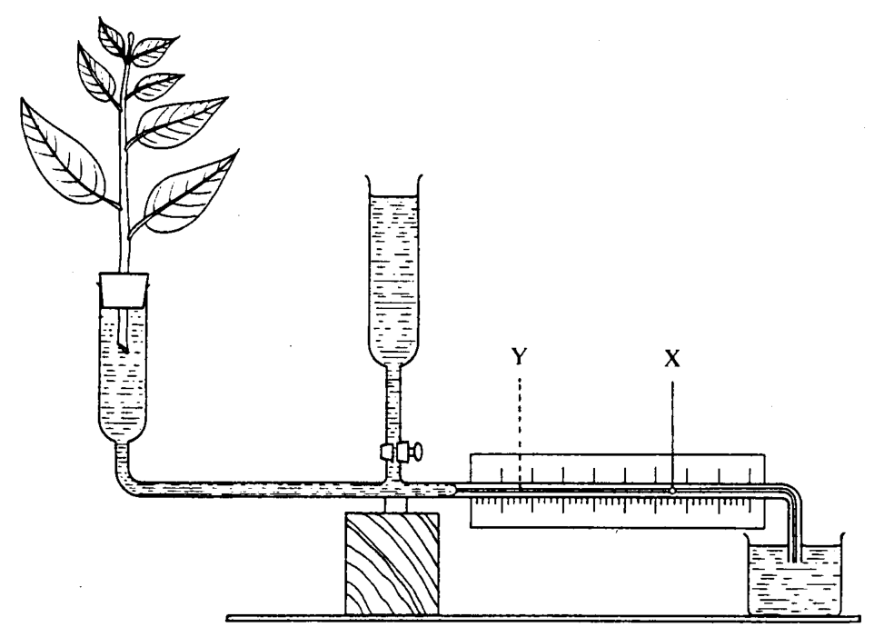 Question figure