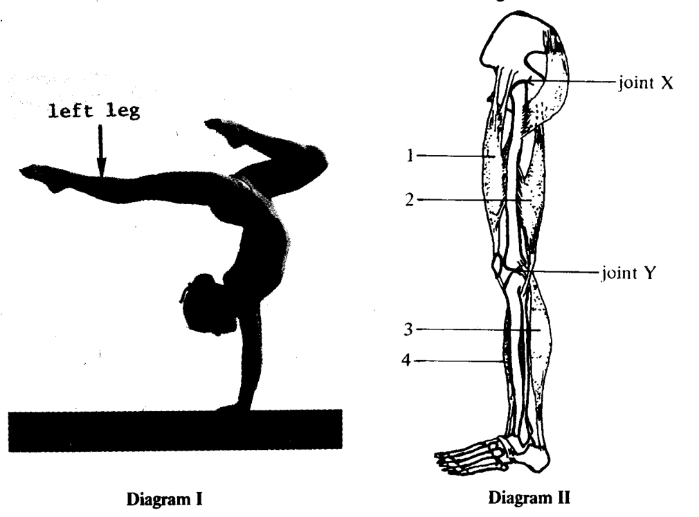 Question figure