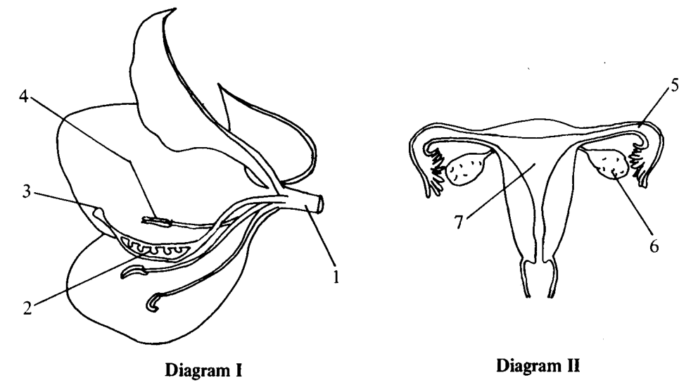 Question figure