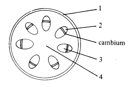 Question figure