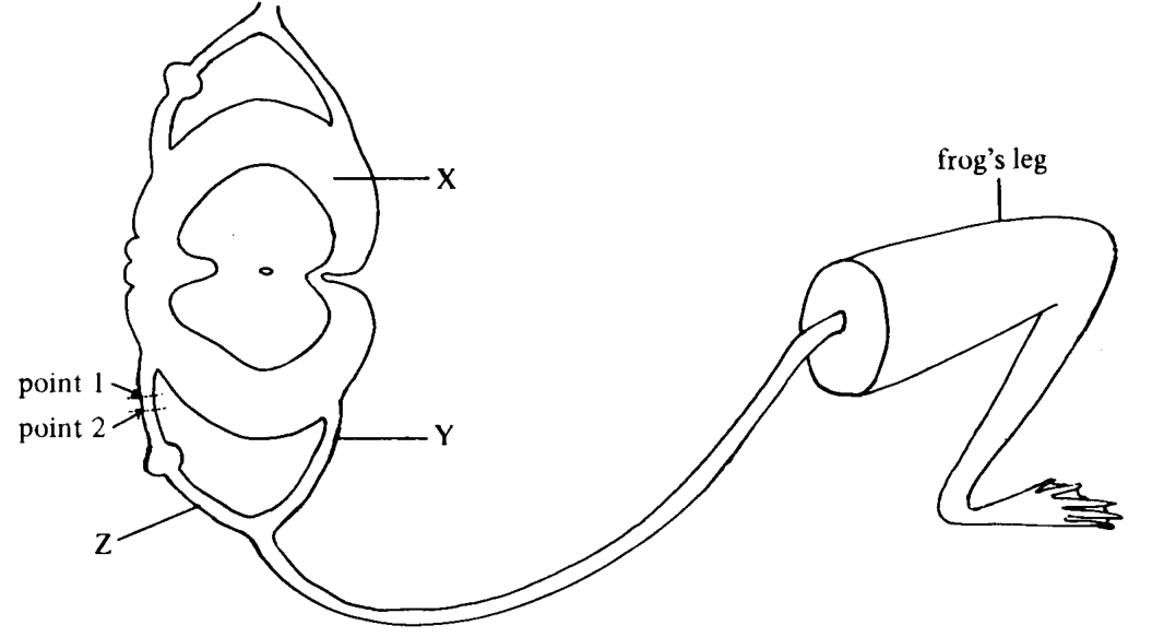 Question figure