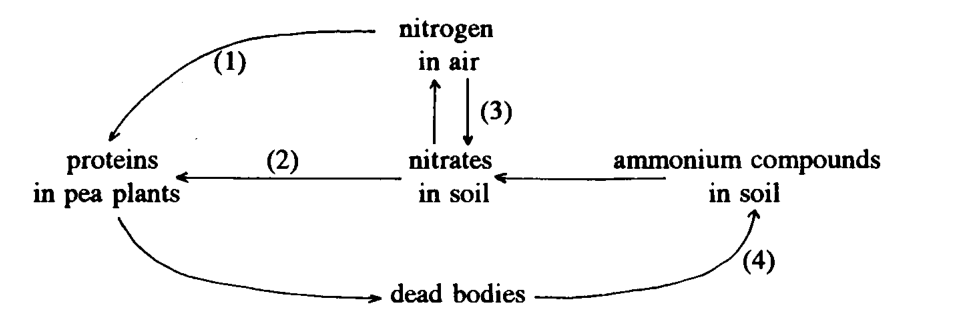 Question figure