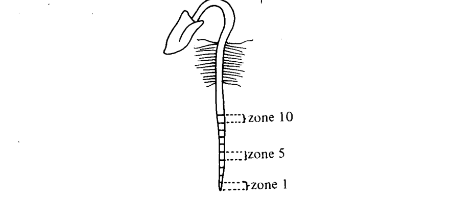 Question figure