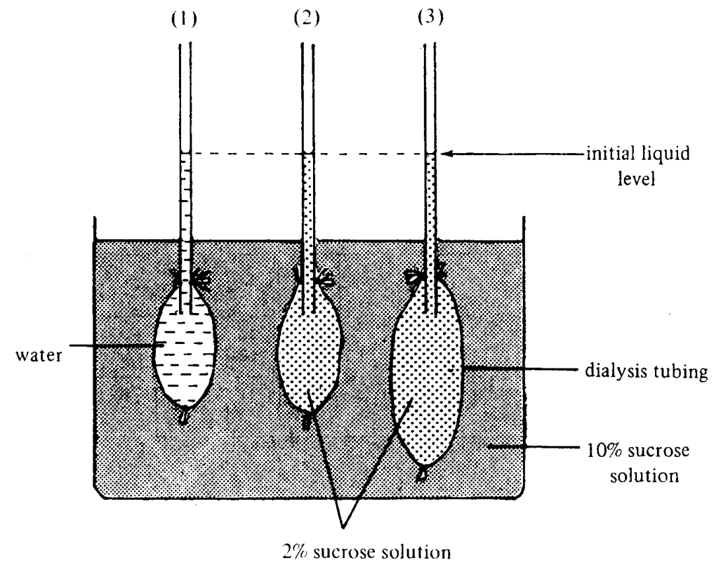 Question figure