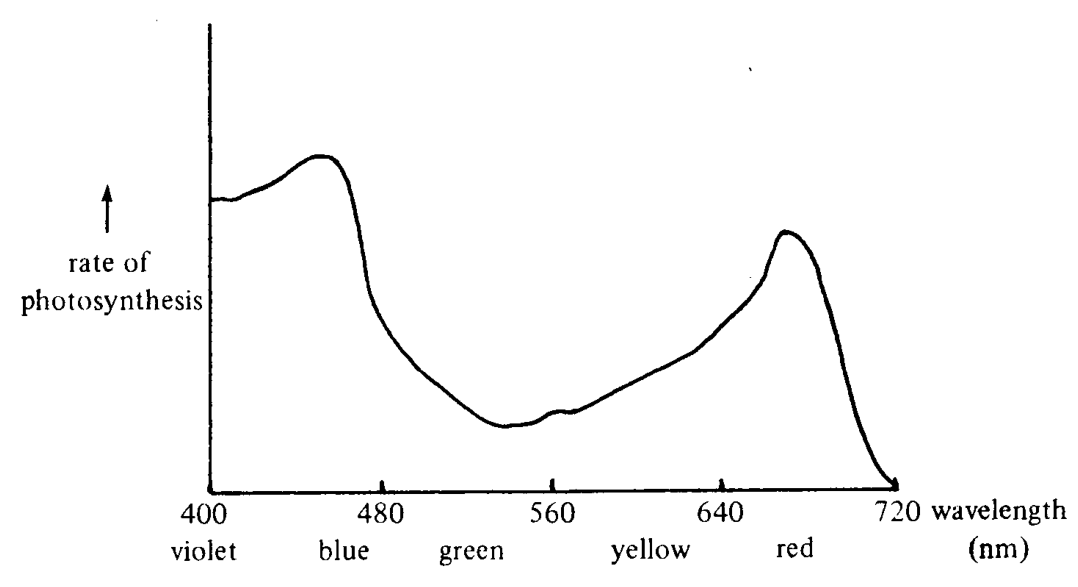 Question figure