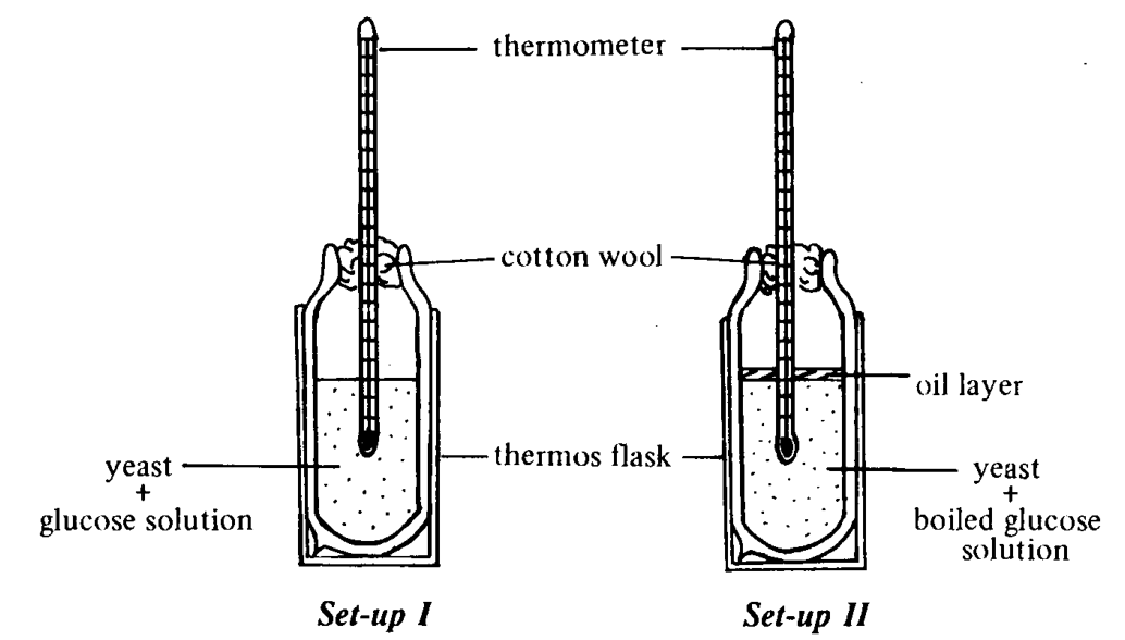 Question figure