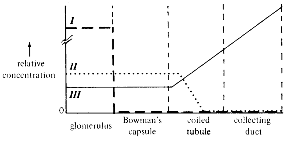 Question figure